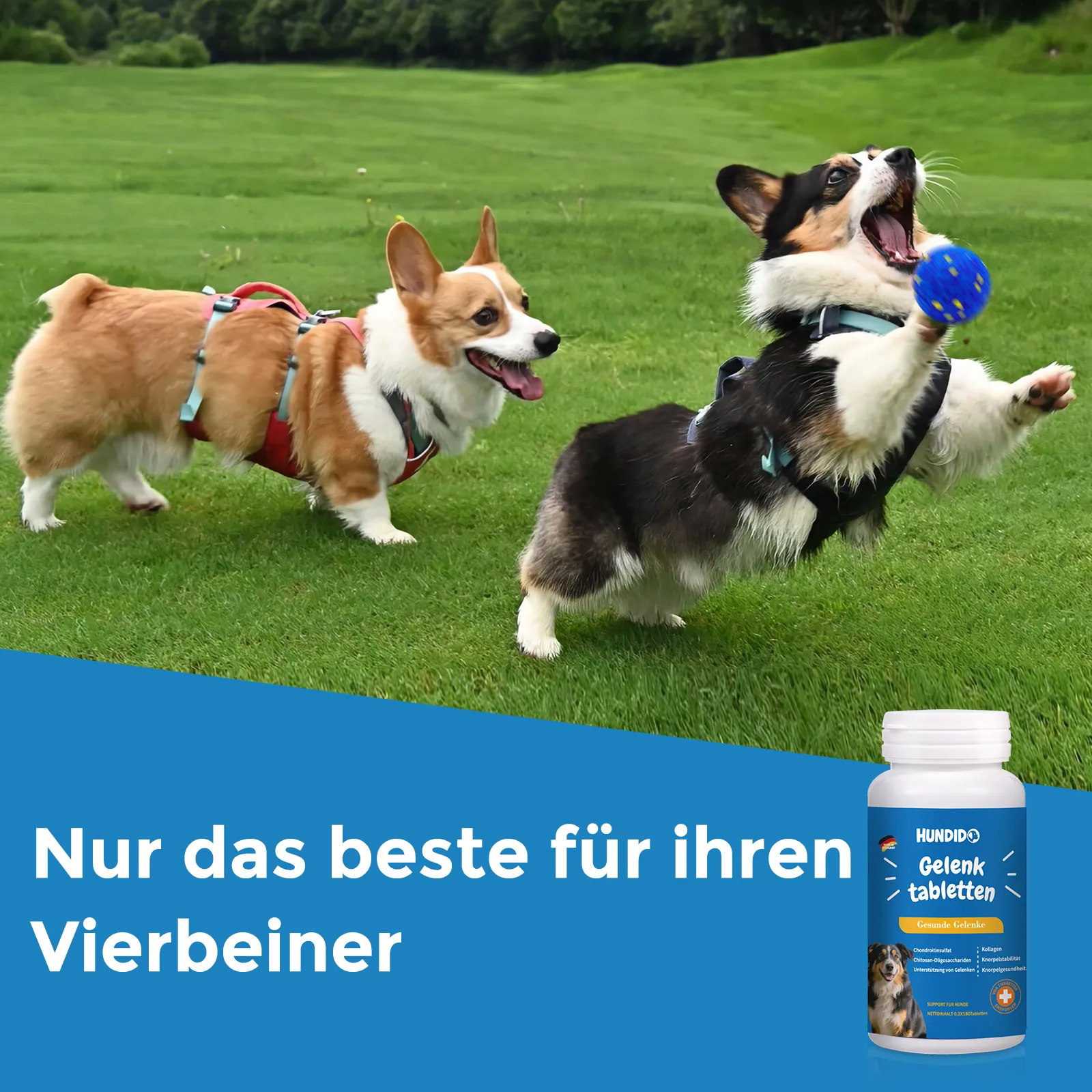 Gelenktabletten für Hunde mit Kollagen, Gelenk- & Knochenschutz 180 Tabletten - Nahrungsergänzung für alle Hundegrößen – Bild 3