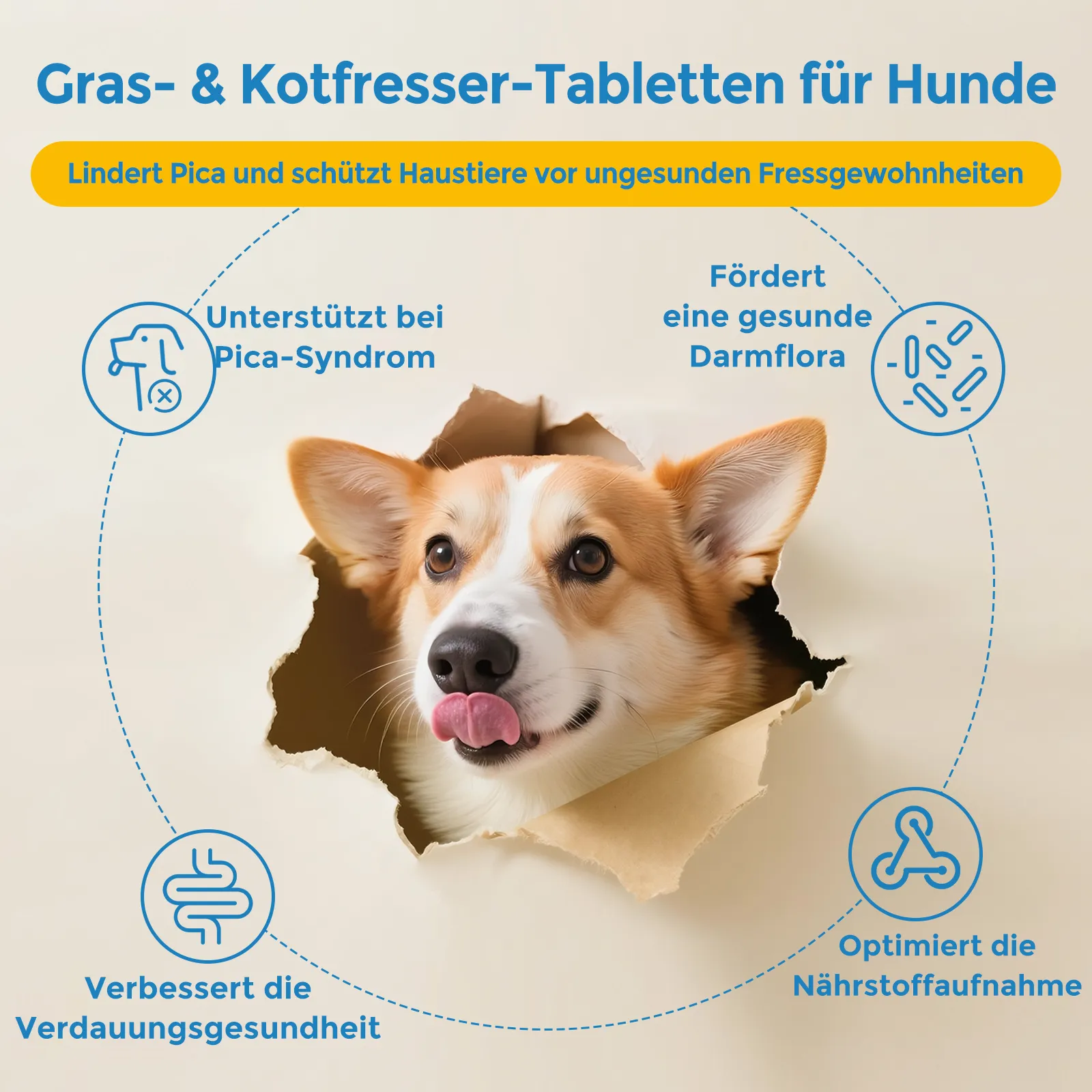 Gras- & Kotfresser Drops für Hunde – 180 Tabletten - Natürliche Hilfe gegen Grasfressen & Kotfressen für alle Hundegrößen – Bild 3