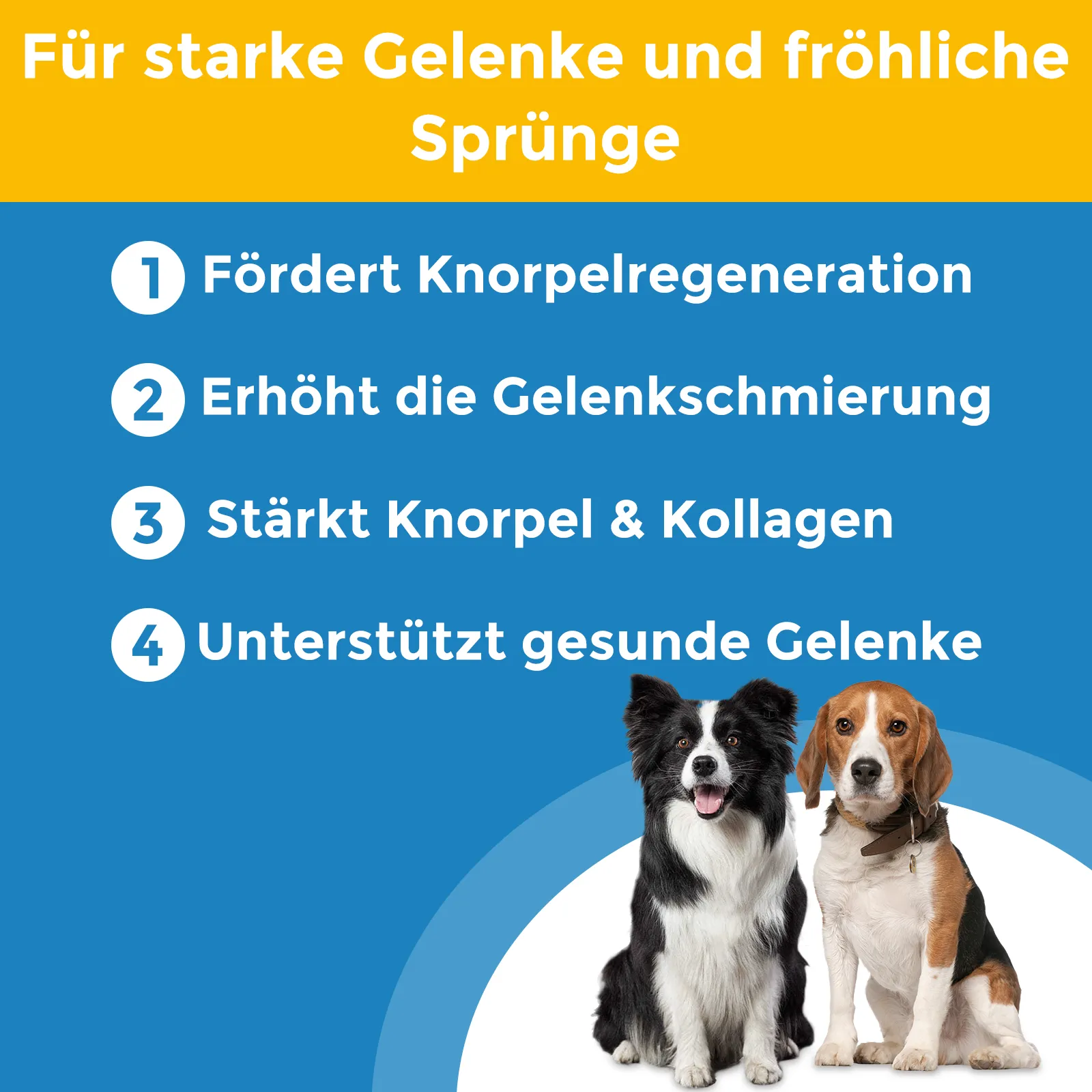 Gelenktabletten für Hunde mit Kollagen, Gelenk- & Knochenschutz 180 Tabletten - Nahrungsergänzung für alle Hundegrößen – Bild 2